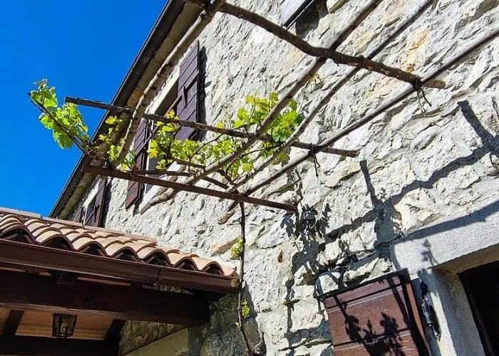 Peaceful Ida&mirko In Nature With Private Pool * Roč